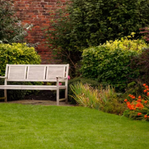 Garden and Outdoor