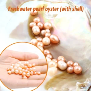 Natural Freshwater Pearls Freshwater Pearl Oysters 5-7mm Inside the shell there are approximately 20-25 pearls DIY Jewelry